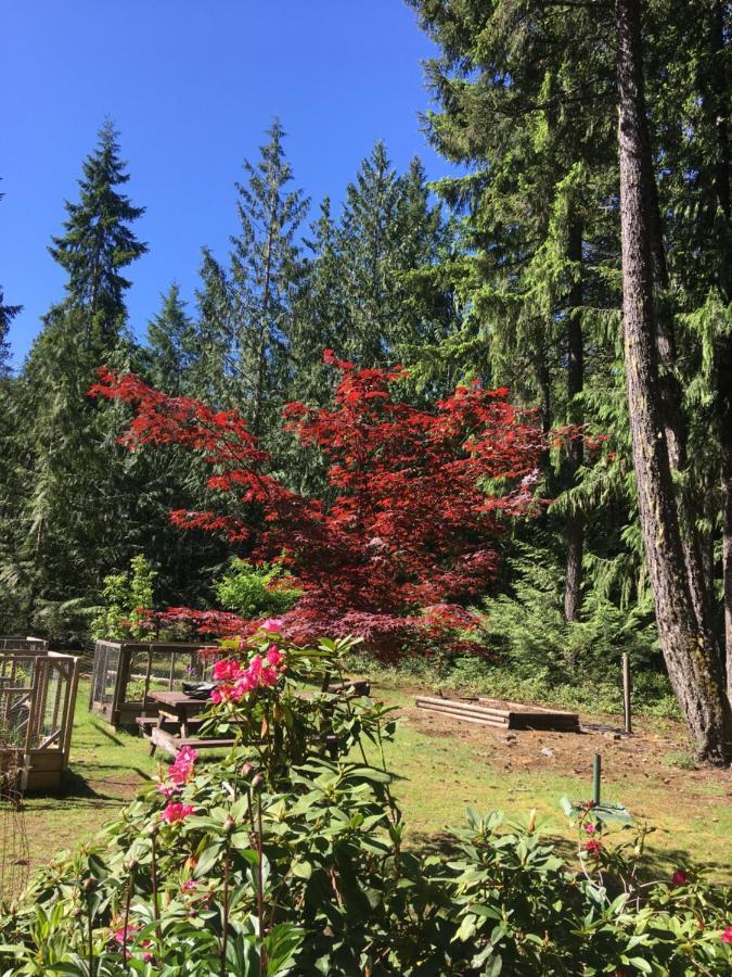 Cedar Song B&B Parksville Luaran gambar