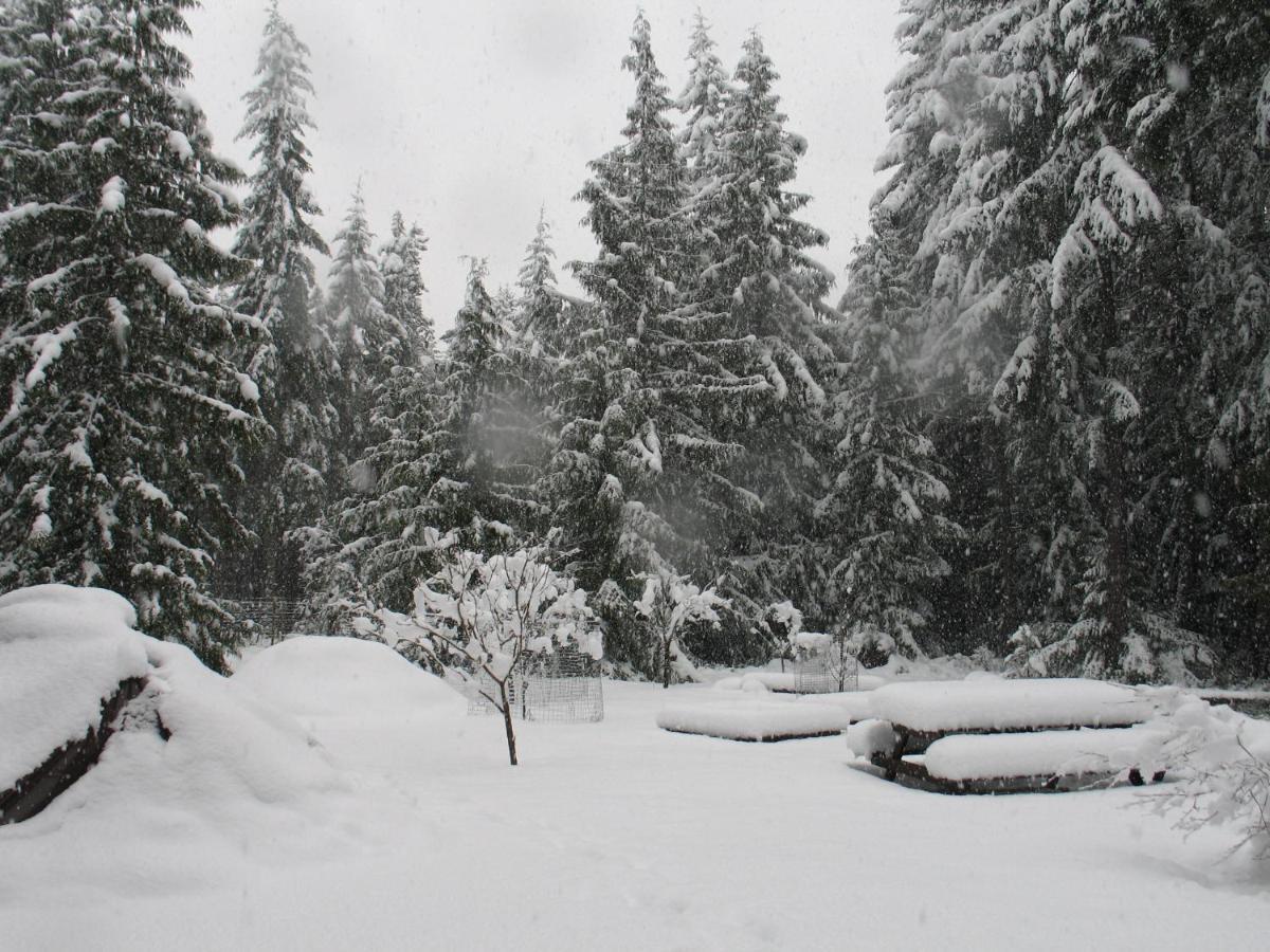 Cedar Song B&B Parksville Luaran gambar