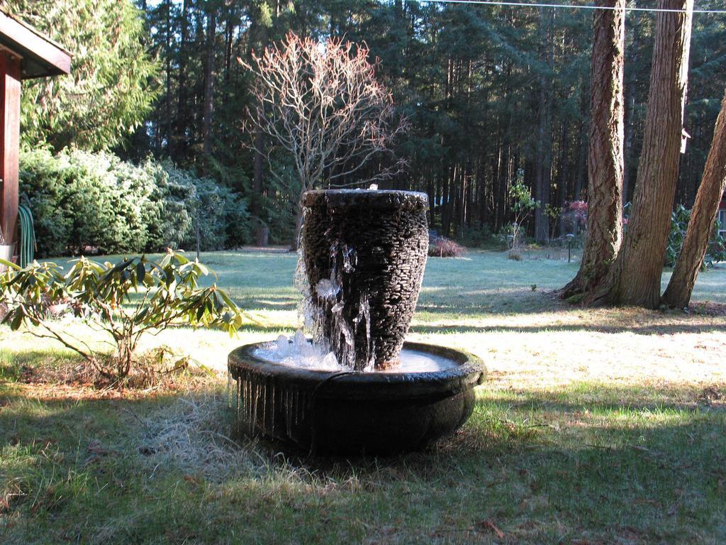 Cedar Song B&B Parksville Bilik gambar