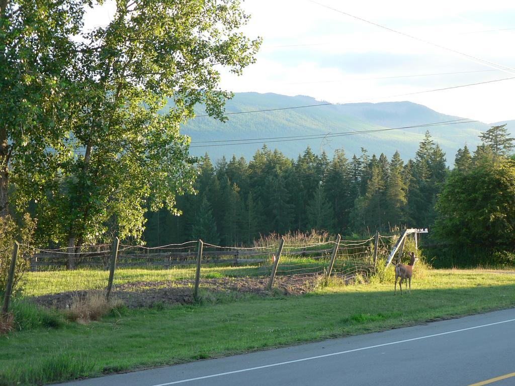 Cedar Song B&B Parksville Bilik gambar