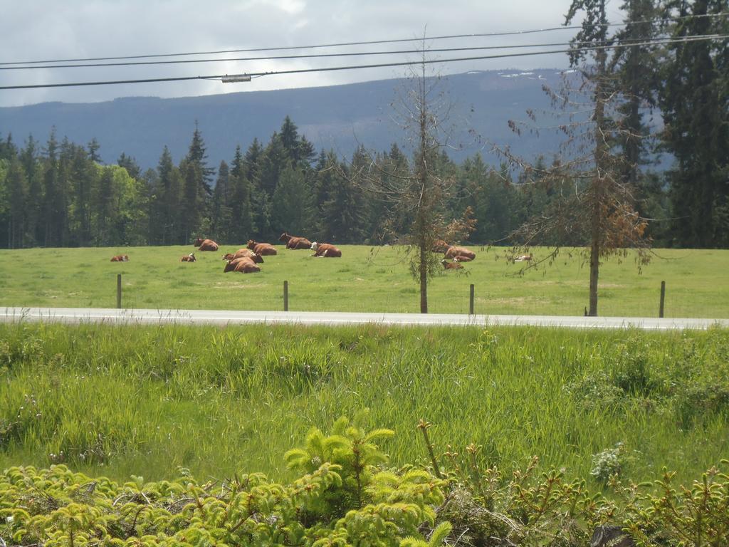 Cedar Song B&B Parksville Luaran gambar