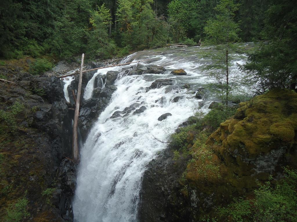 Cedar Song B&B Parksville Luaran gambar