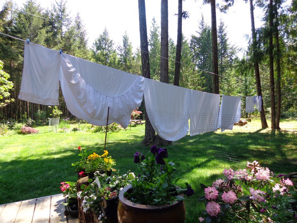 Cedar Song B&B Parksville Luaran gambar