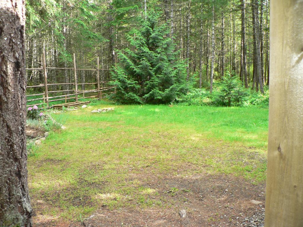 Cedar Song B&B Parksville Luaran gambar