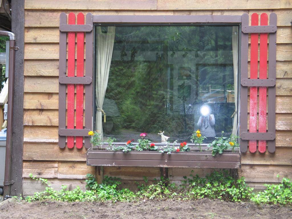 Cedar Song B&B Parksville Luaran gambar