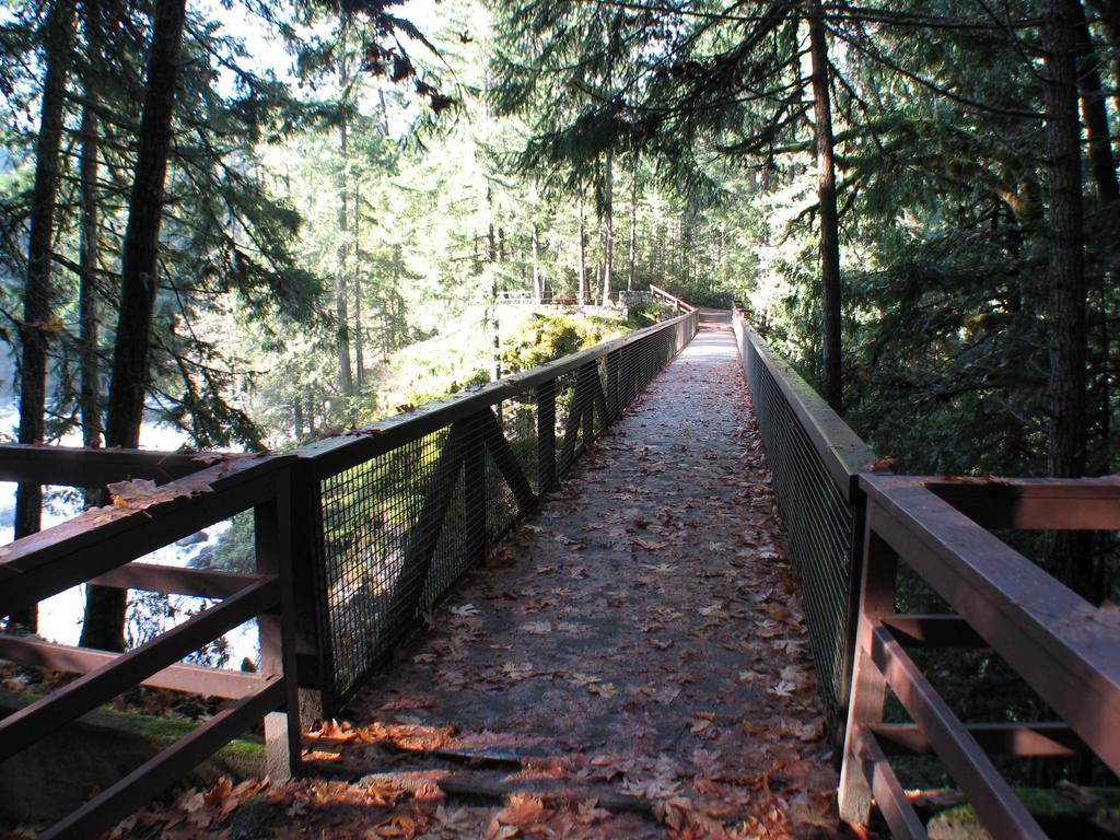 Cedar Song B&B Parksville Luaran gambar